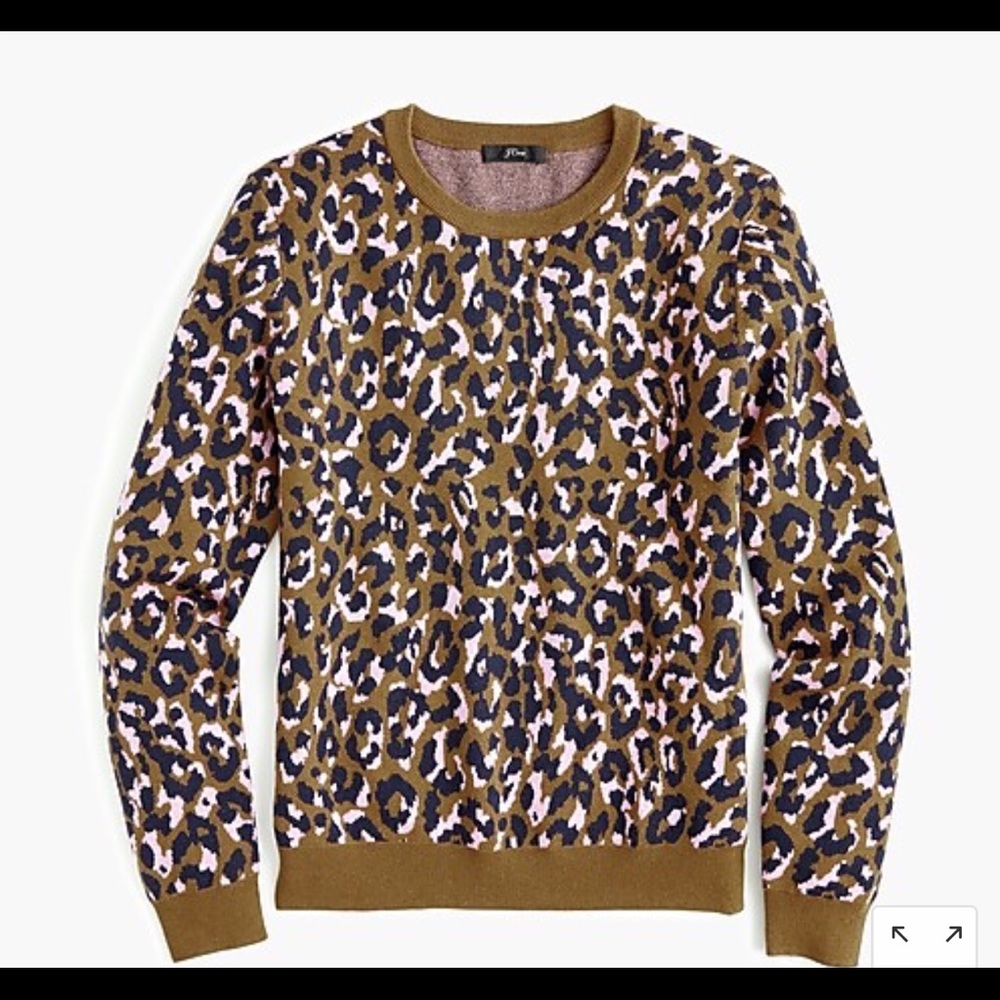 J Crew Crewneck Sweater